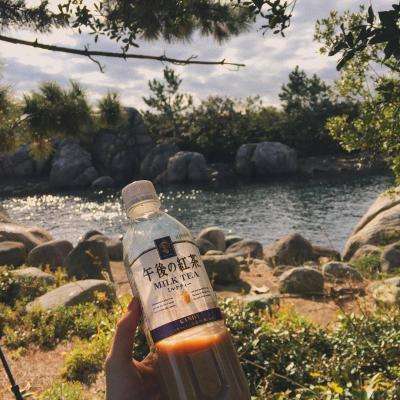 森林舞会游戏下